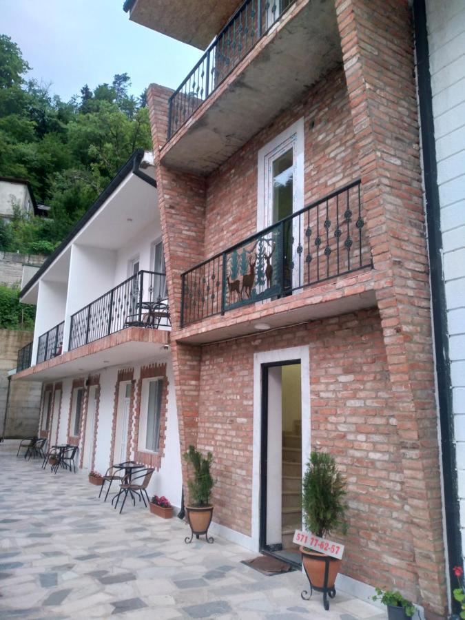 Cristal Ξενοδοχείο Borjomi Εξωτερικό φωτογραφία